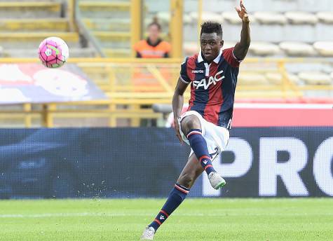 Amadou Diawara