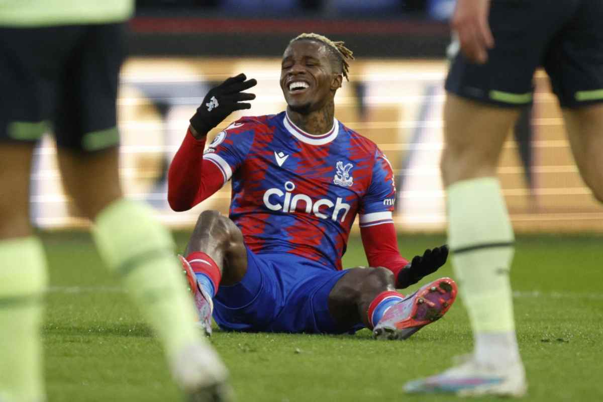 Zaha Milan