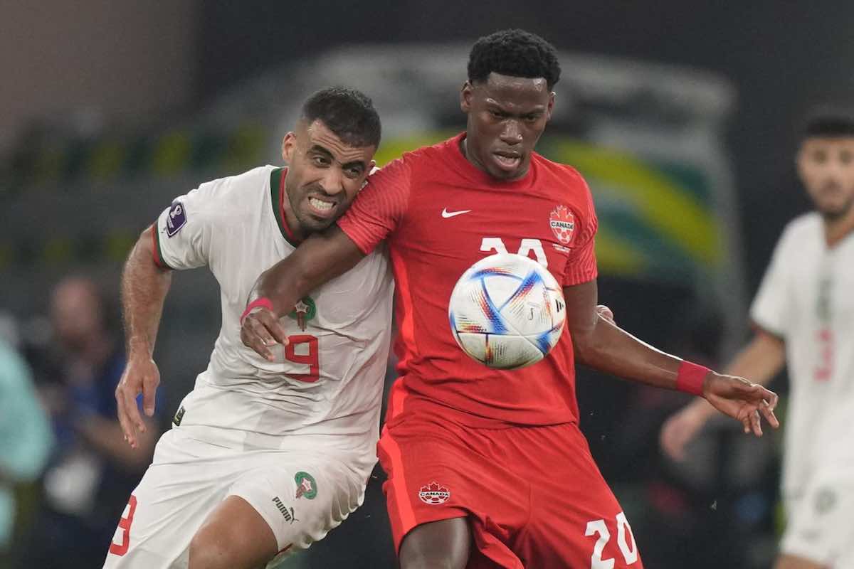 Milan David per il 2024