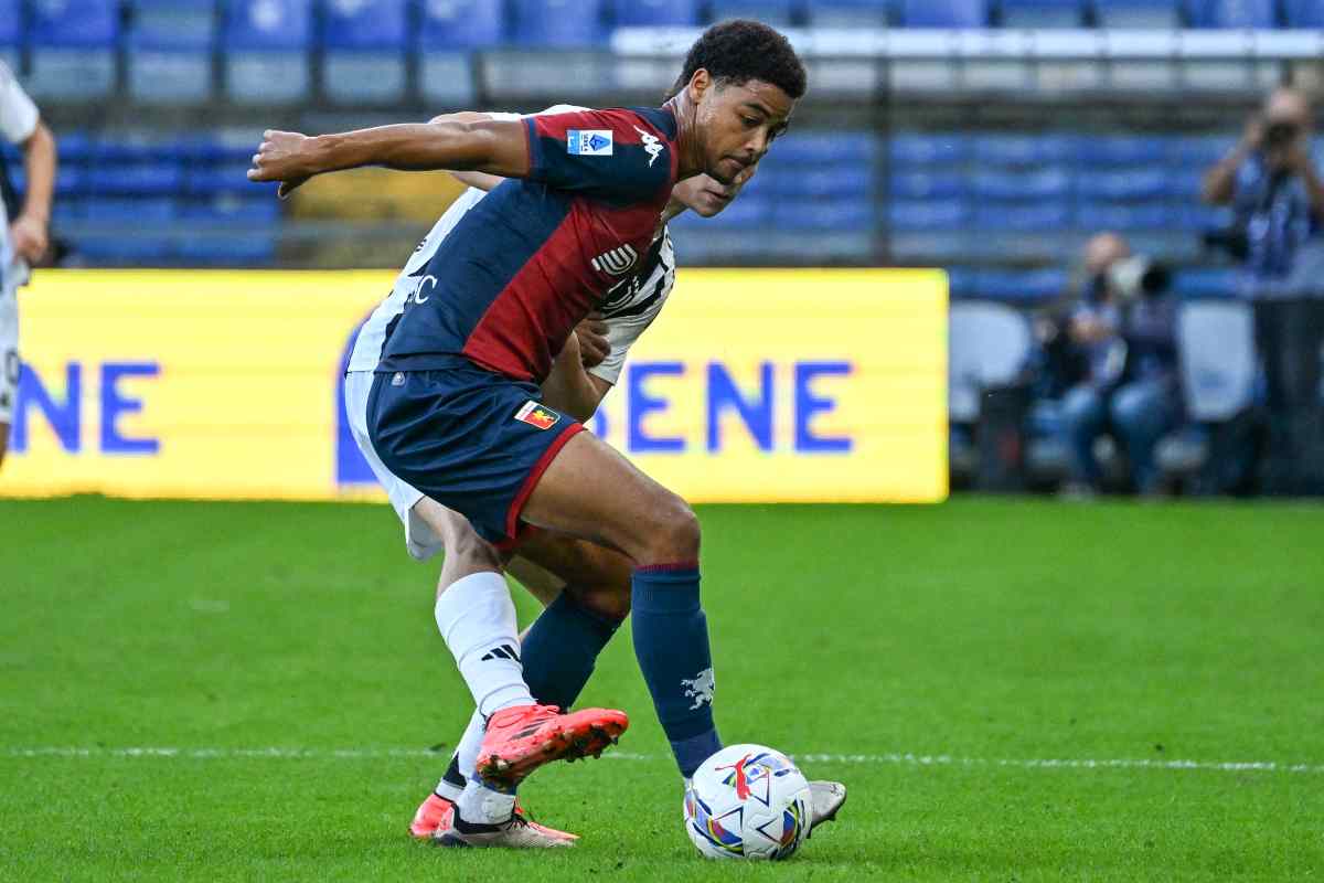 Koni De Winter in azione