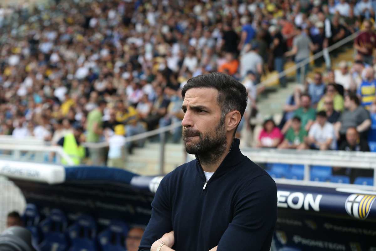 Cesc Fabregas osserva