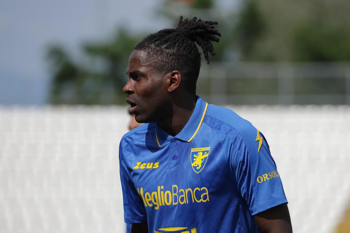 Okoli in primo piano