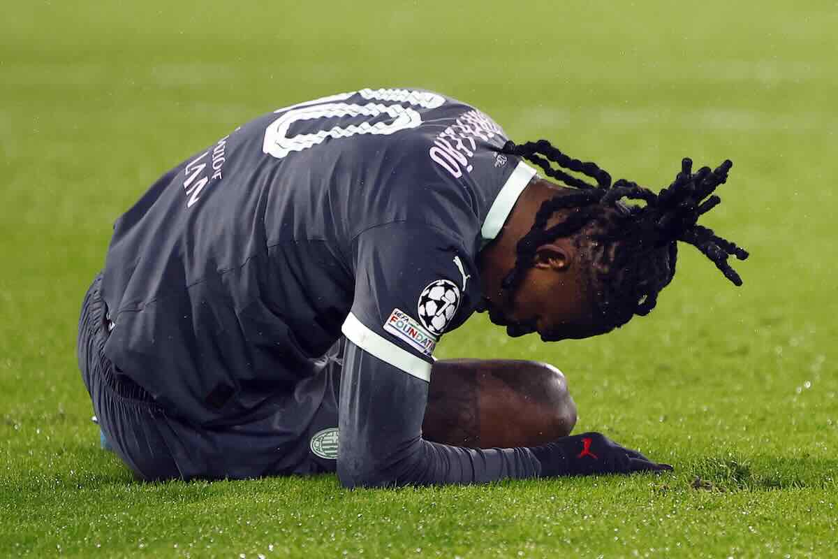 Leao a terra dolorante