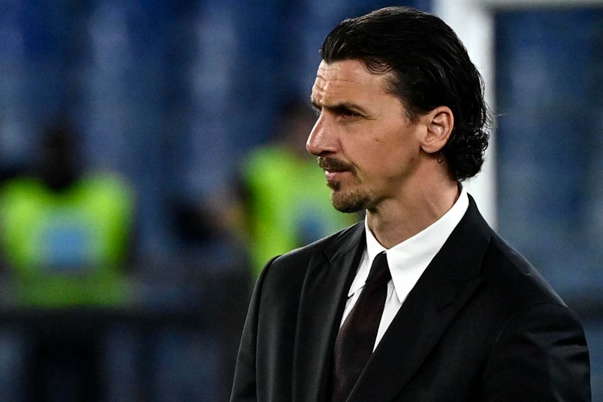 Ibrahimovic di profilo